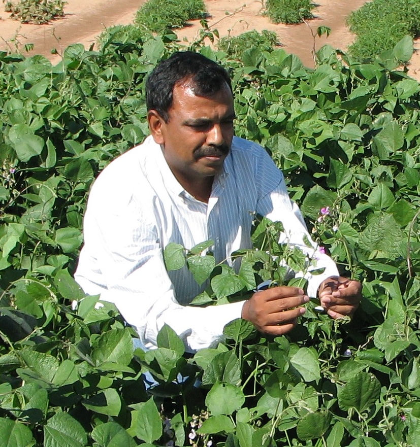 NMSU_Sangu_Angadi.jpg