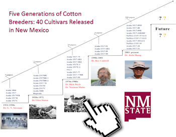 cotton250.jpg