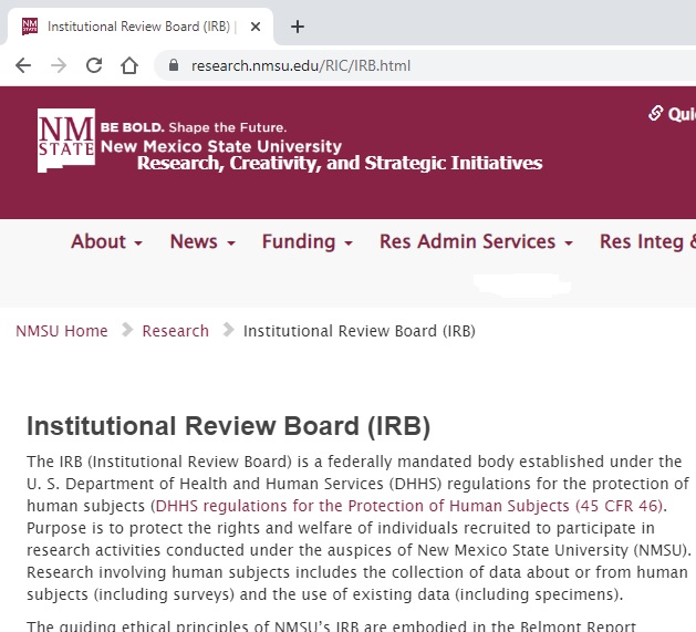 irb.jpg