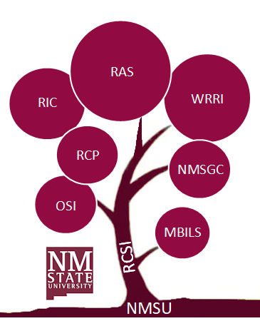 rcsi-tree2.jpg